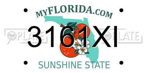 3161XI Florida License Plate