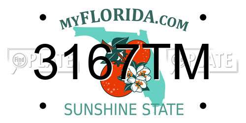 3167TM Florida License Plate