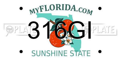 316GI Florida License Plate