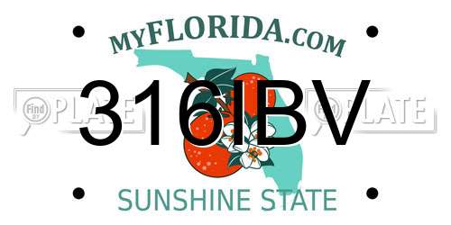 316IBV Florida License Plate