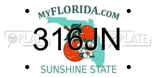 316JN Florida License Plate