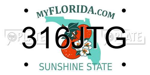 316JTG Florida License Plate