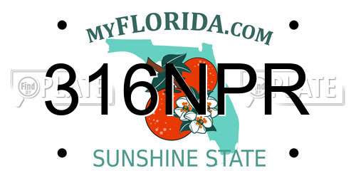 316NPR Florida License Plate