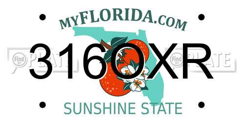 316OXR Florida License Plate
