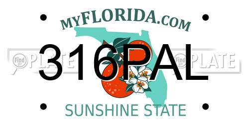 316PAL Florida License Plate