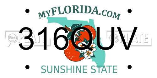 316QUV Florida License Plate