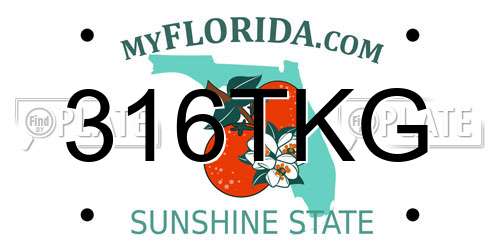 316TKG Florida License Plate
