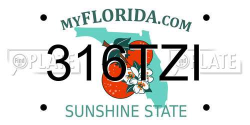 316TZI Florida License Plate