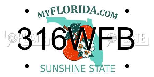 316WFB Florida License Plate