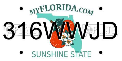 316WWJD Florida License Plate