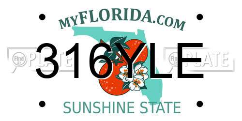 316YLE Florida License Plate