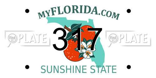 317 Florida License Plate