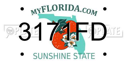 3171FD Florida License Plate
