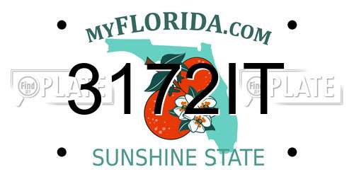 3172IT Florida License Plate