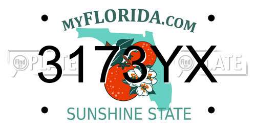3173YX Florida License Plate