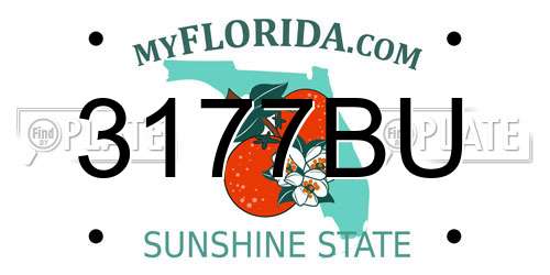 3177BU Florida License Plate