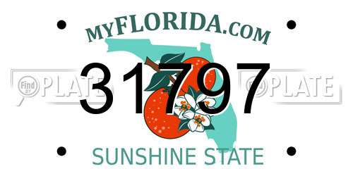 31797 Florida License Plate