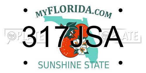 317JSA Florida License Plate