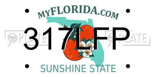317LFP Florida License Plate