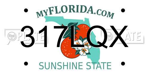 317LQX Florida License Plate
