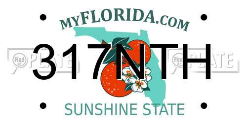317NTH Florida License Plate