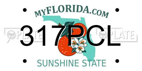 317PCL Florida License Plate