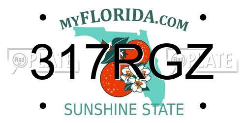 317RGZ Florida License Plate