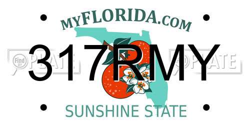 317RMY Florida License Plate
