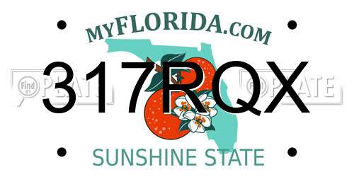 317RQX Florida License Plate
