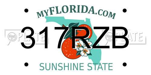 317RZB Florida License Plate