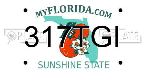 317TGI Florida License Plate