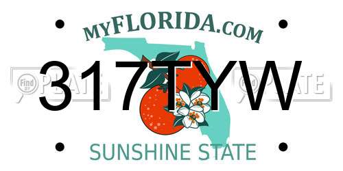 317TYW Florida License Plate