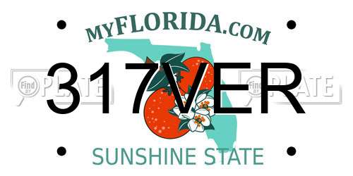 317VER Florida License Plate