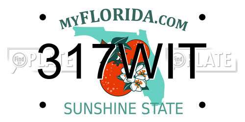 317WIT Florida License Plate