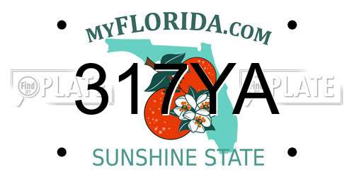 317YA Florida License Plate