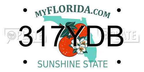 317YDB Florida License Plate
