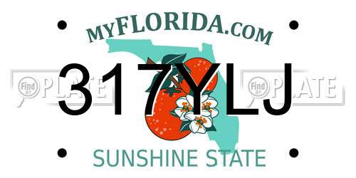 317YLJ Florida License Plate