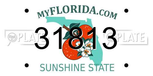 31813 Florida License Plate