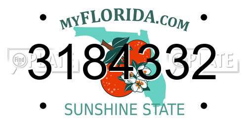 3184332 Florida License Plate