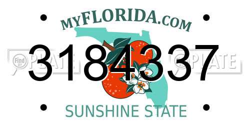 3184337 Florida License Plate