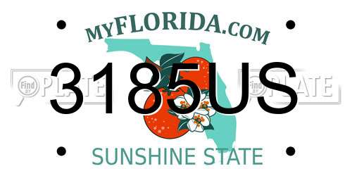 3185US Florida License Plate
