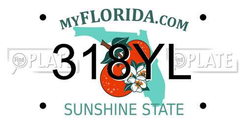 318YL Florida License Plate