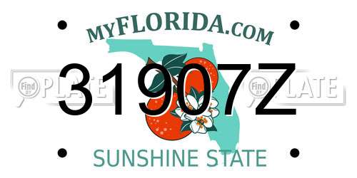 31907Z Florida License Plate