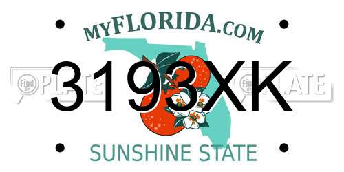 3193XK Florida License Plate