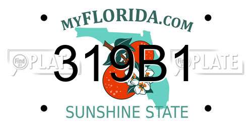 319B1 Florida License Plate