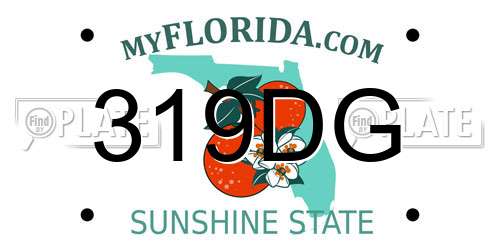 319DG Florida License Plate