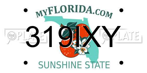319IXY Florida License Plate