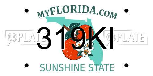 319KI Florida License Plate