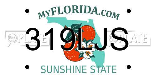 319LJS Florida License Plate
