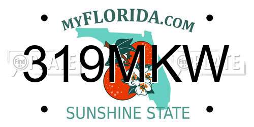 319MKW Florida License Plate